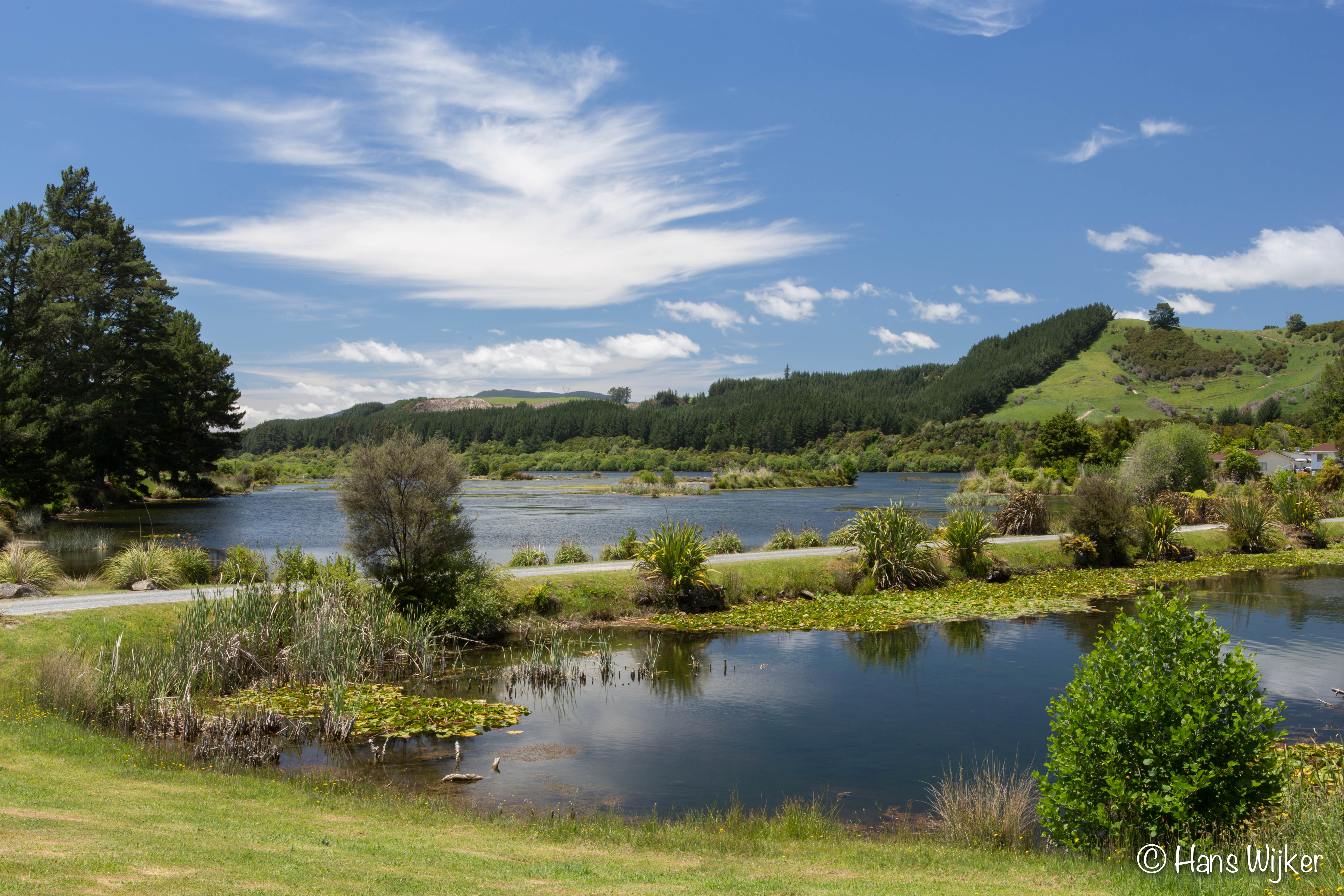 kinleith-waikato-in-nieuw-zeeland
