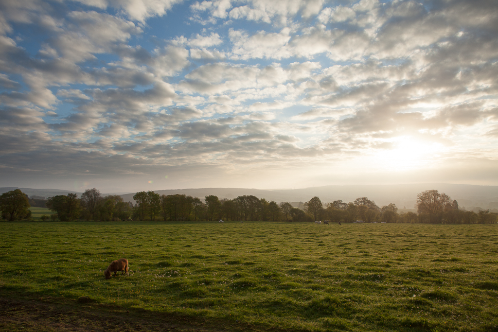 ochtendlicht-in-lierneux