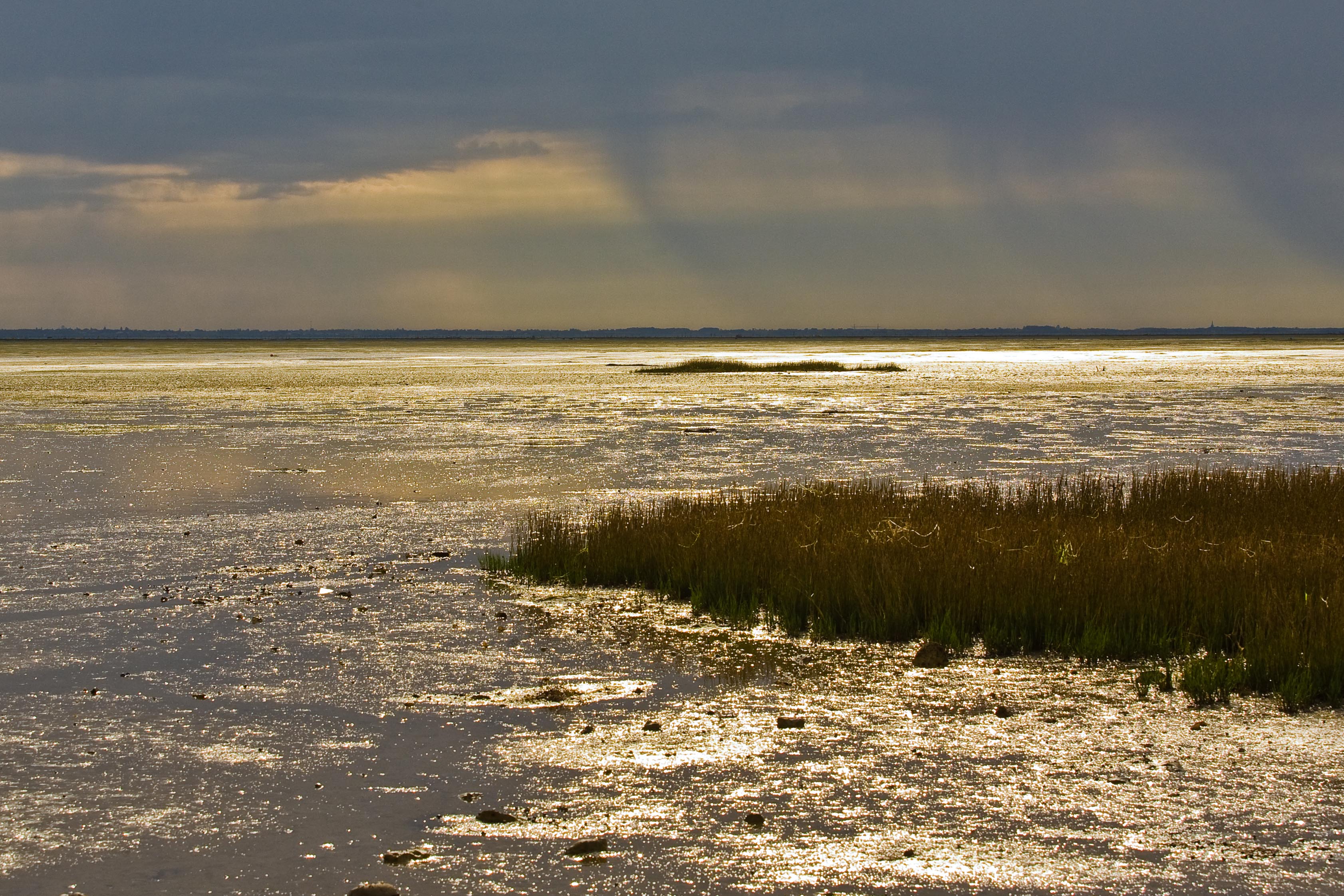 le-chateau-d-oleron-fr