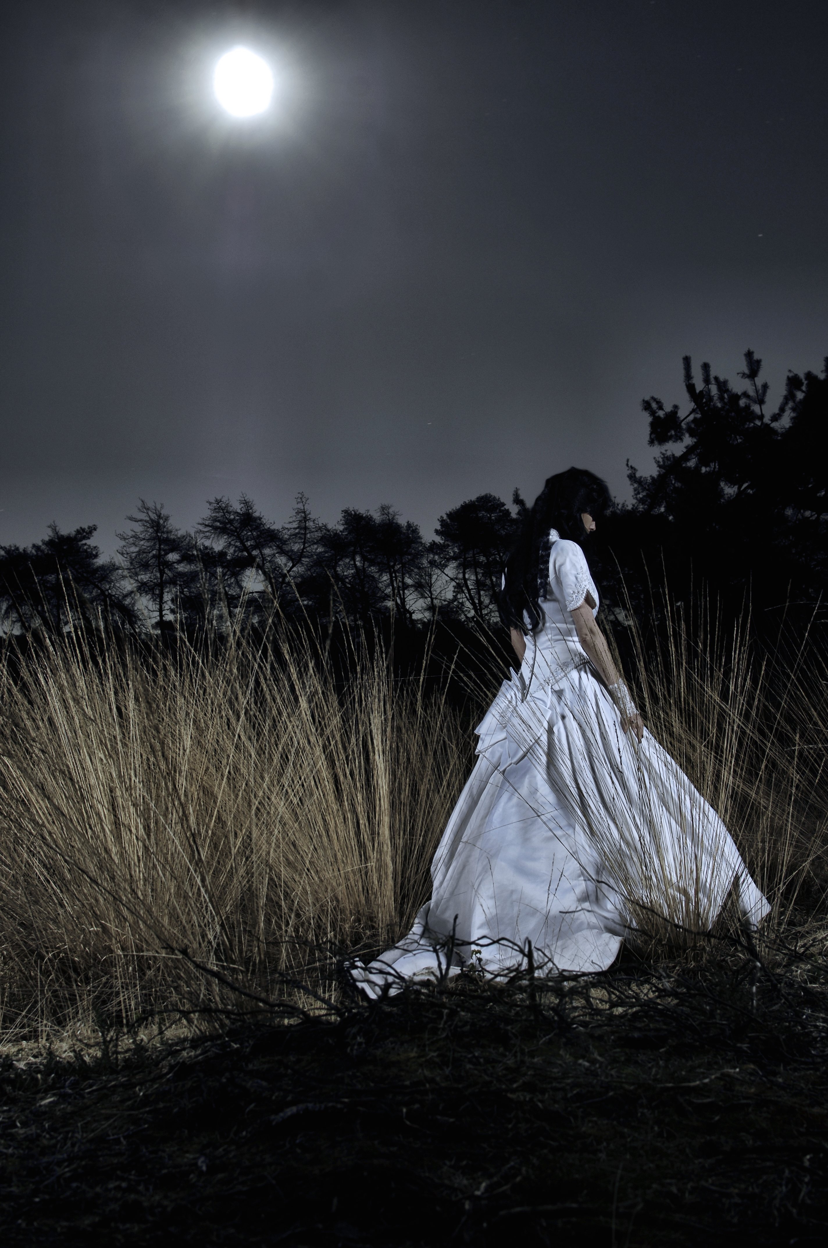 nachtdwaler-lowres-unedited