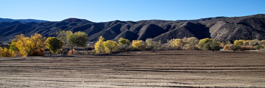 cahuilla