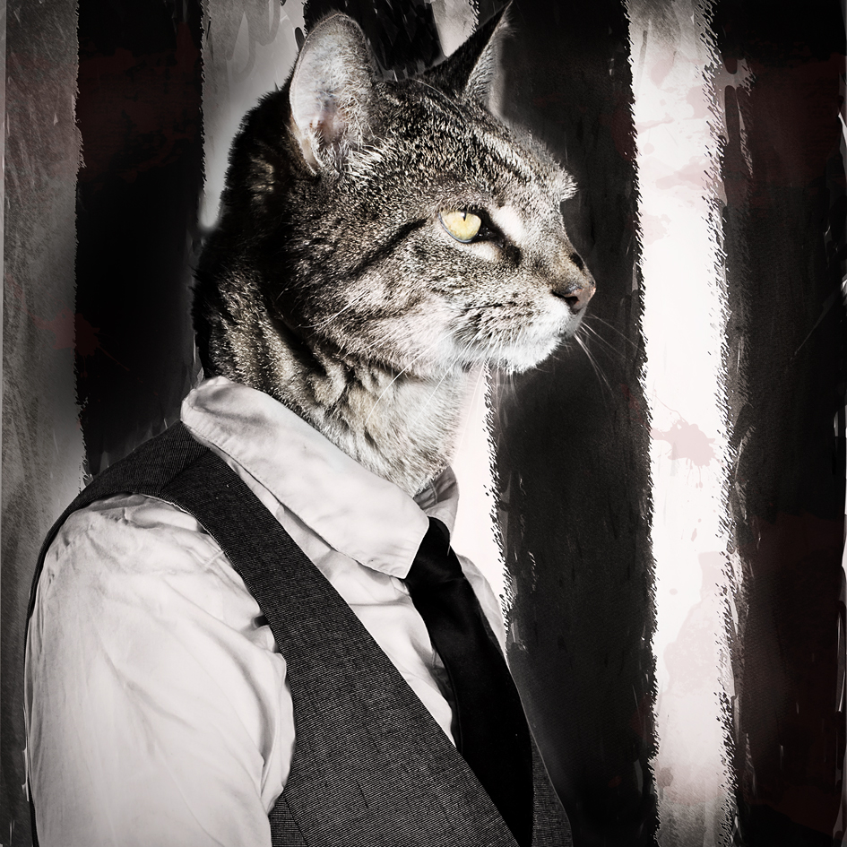 half-kat-half-gangster