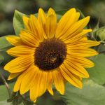 ongerepte-schoonheid