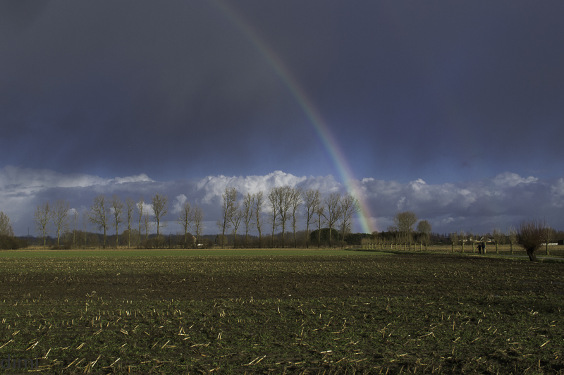regenboog-18