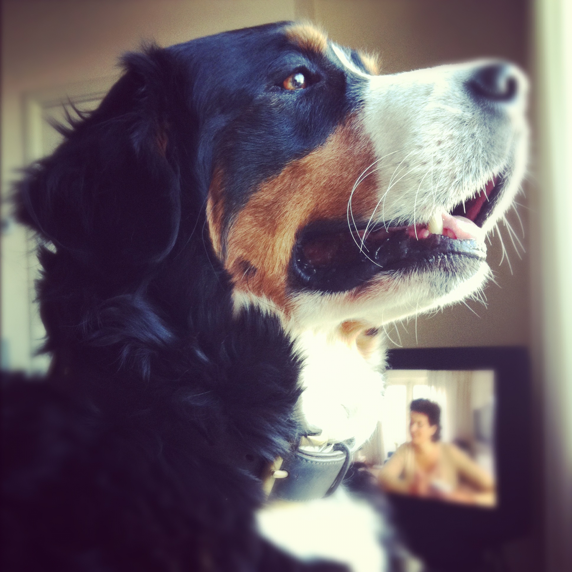 onze-nieuwsgierige-jada