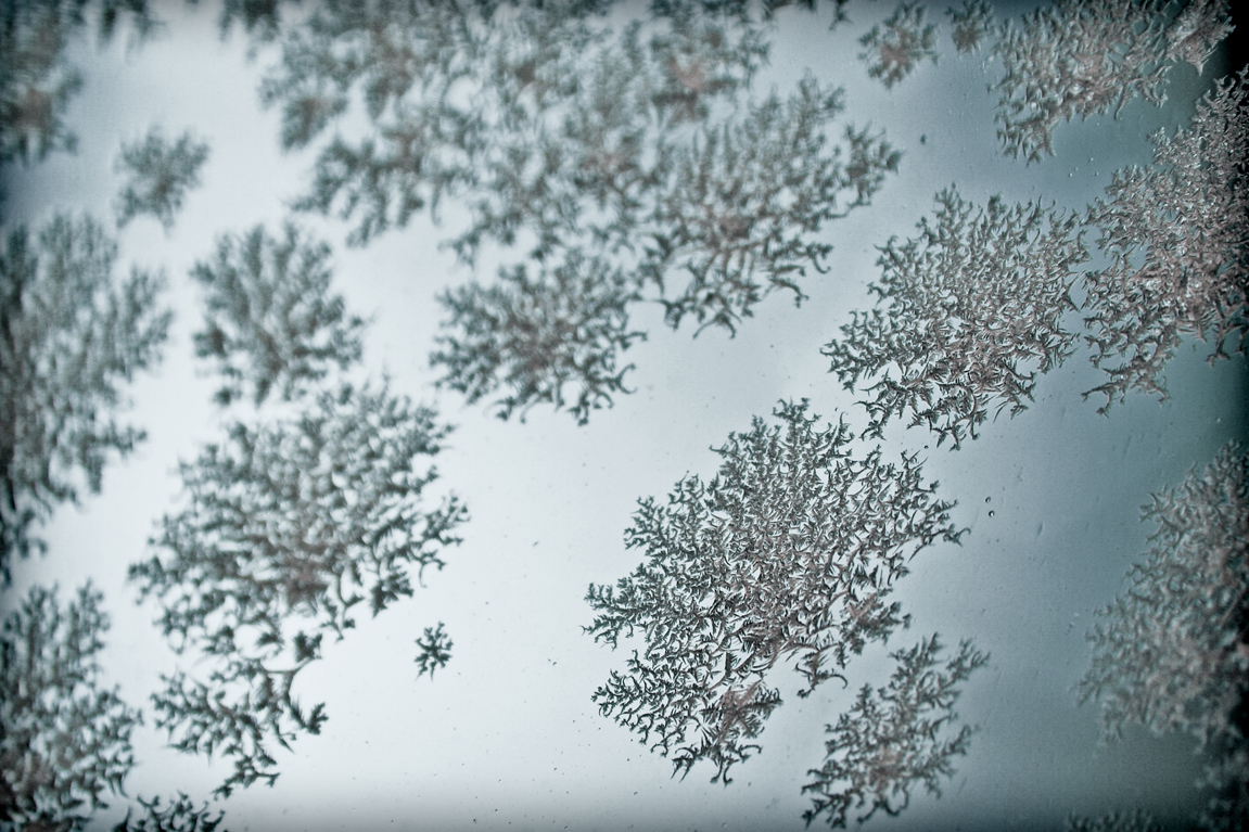 ice-crystals