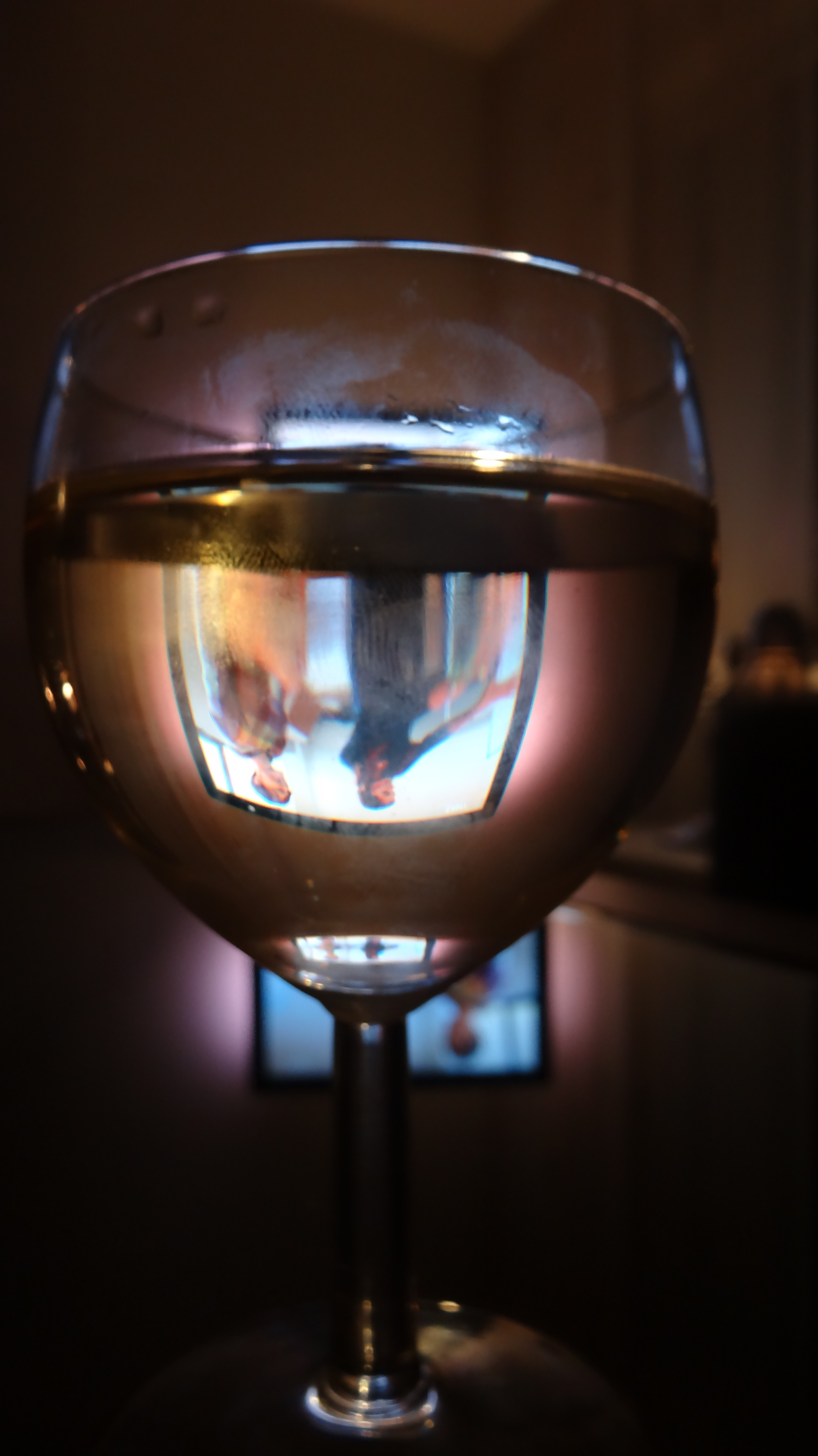 de-wereld-in-een-glas-wijn