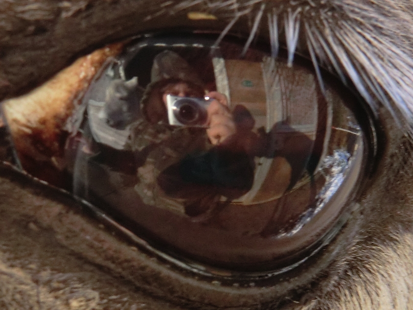 every-picture-tells-a-story-1