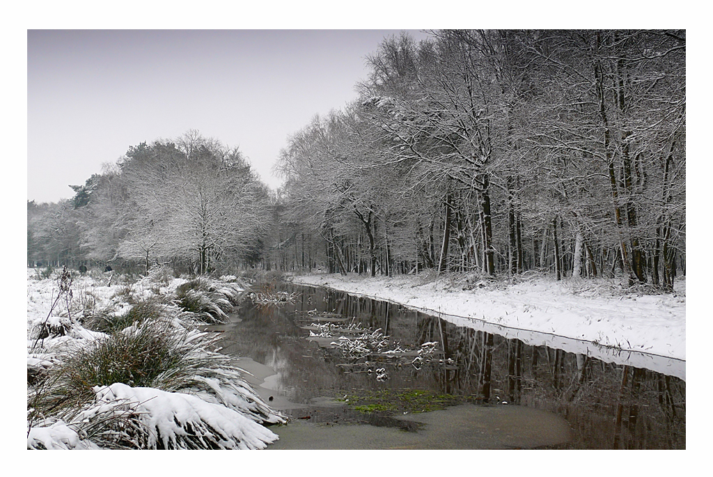 winter-wonderland-13