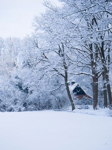 winter-wonder-land-1