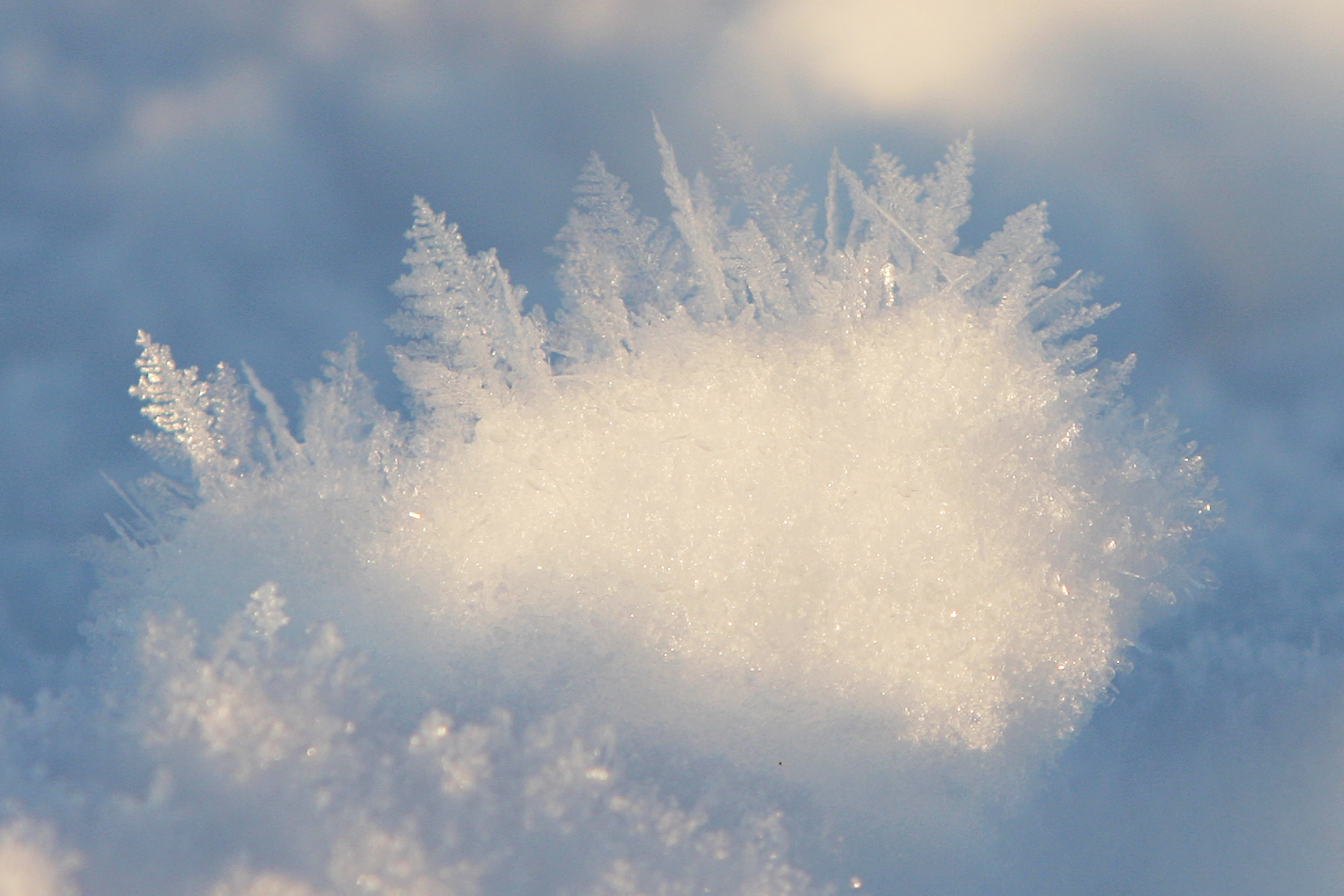sneeuwkristallen-1
