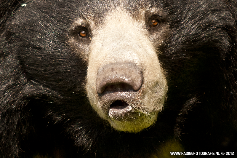 give-me-a-little-kiss