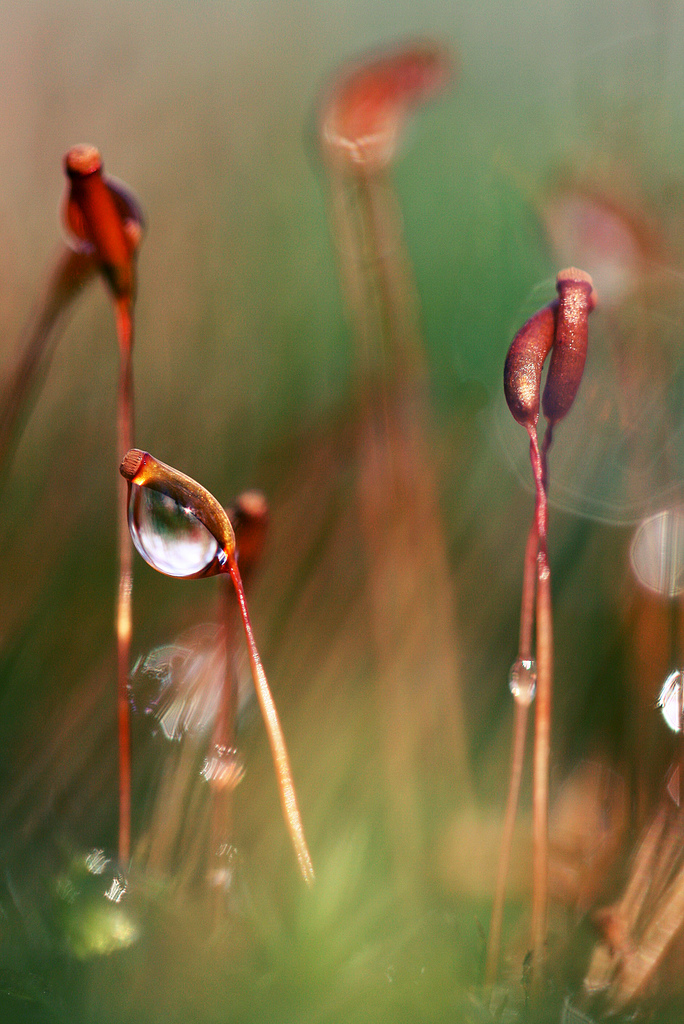 because-youre-all-alone