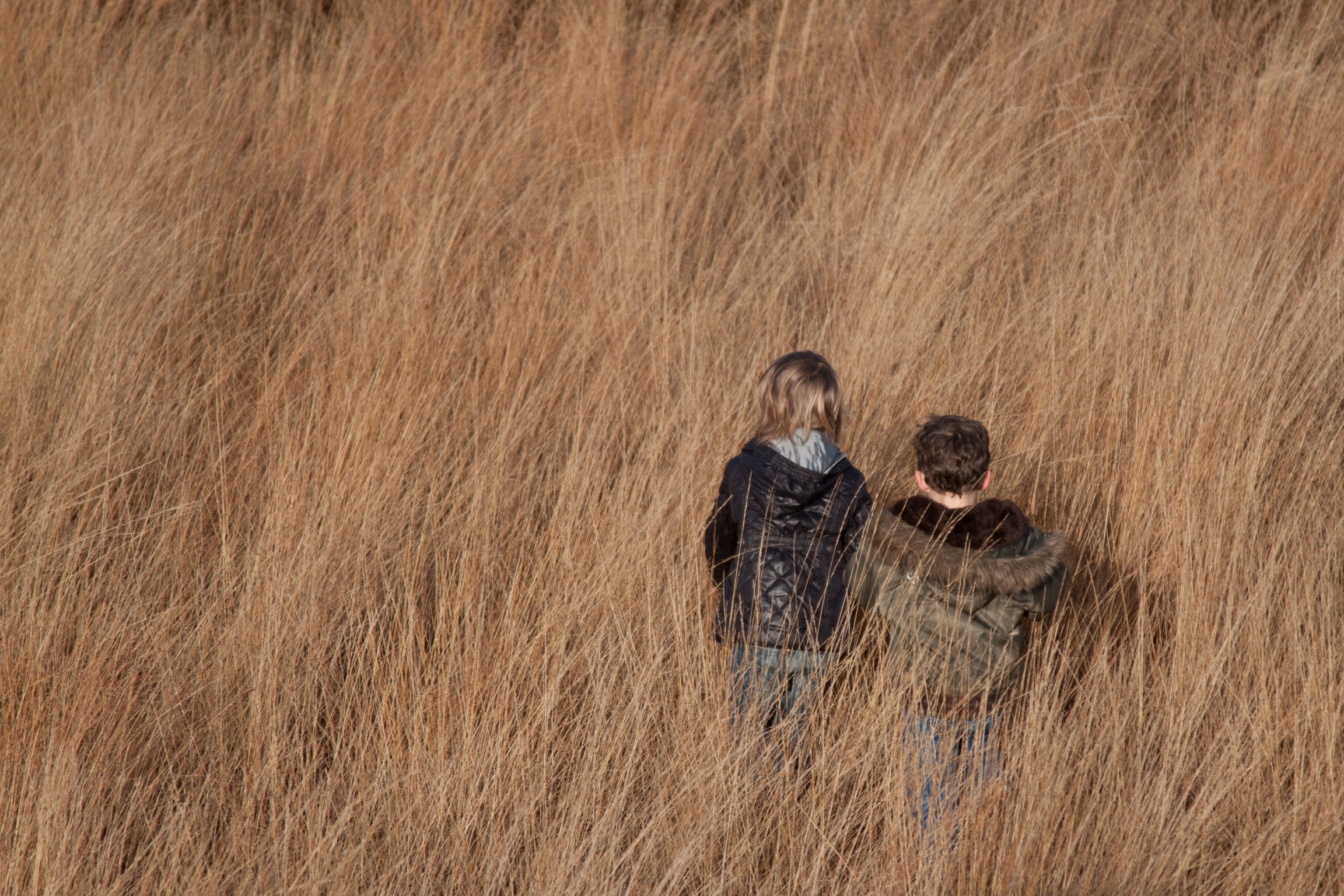 event-of-endless-grass-oceans