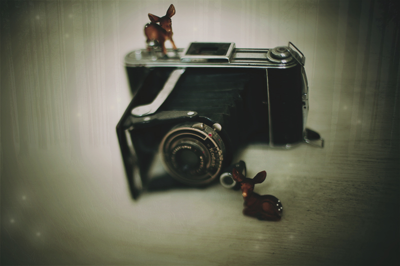 i-deerly-love-photography