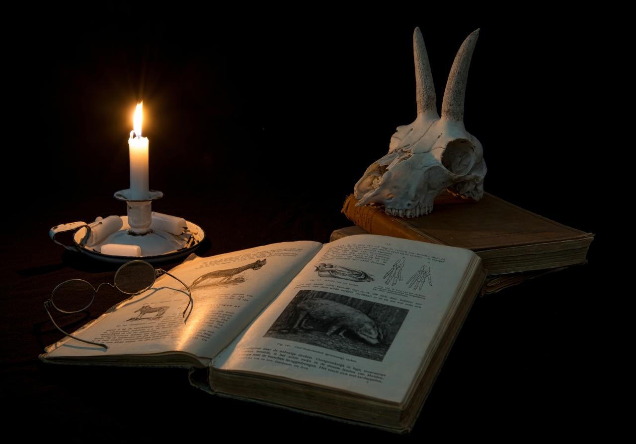stilleven-met-dierenschedel