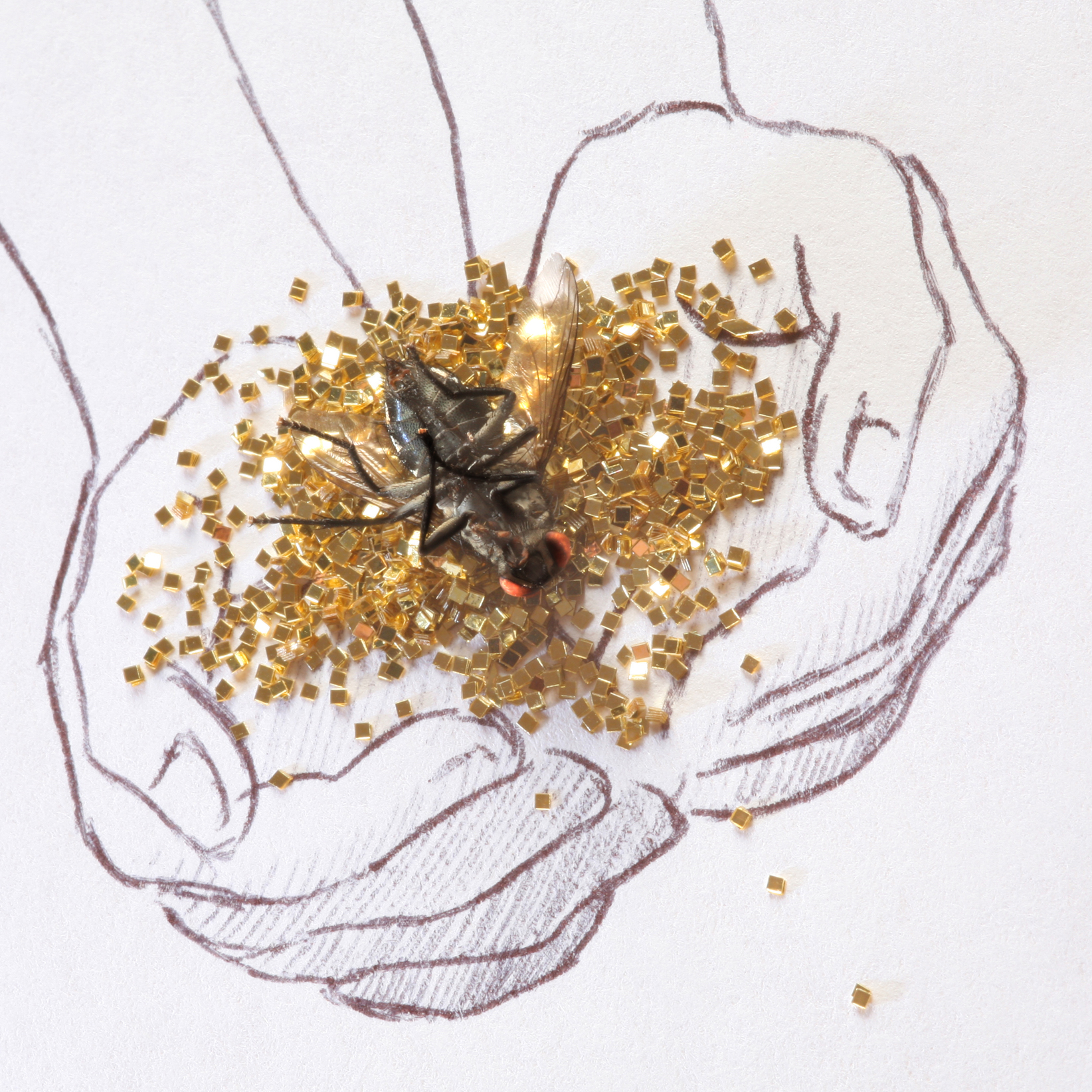 wie-bepaalt-de-waarde-van-je-leven