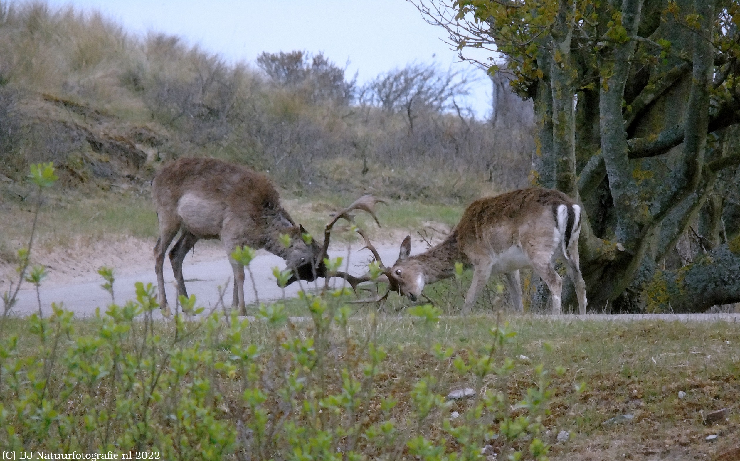 oefenen-voor-de-herfst