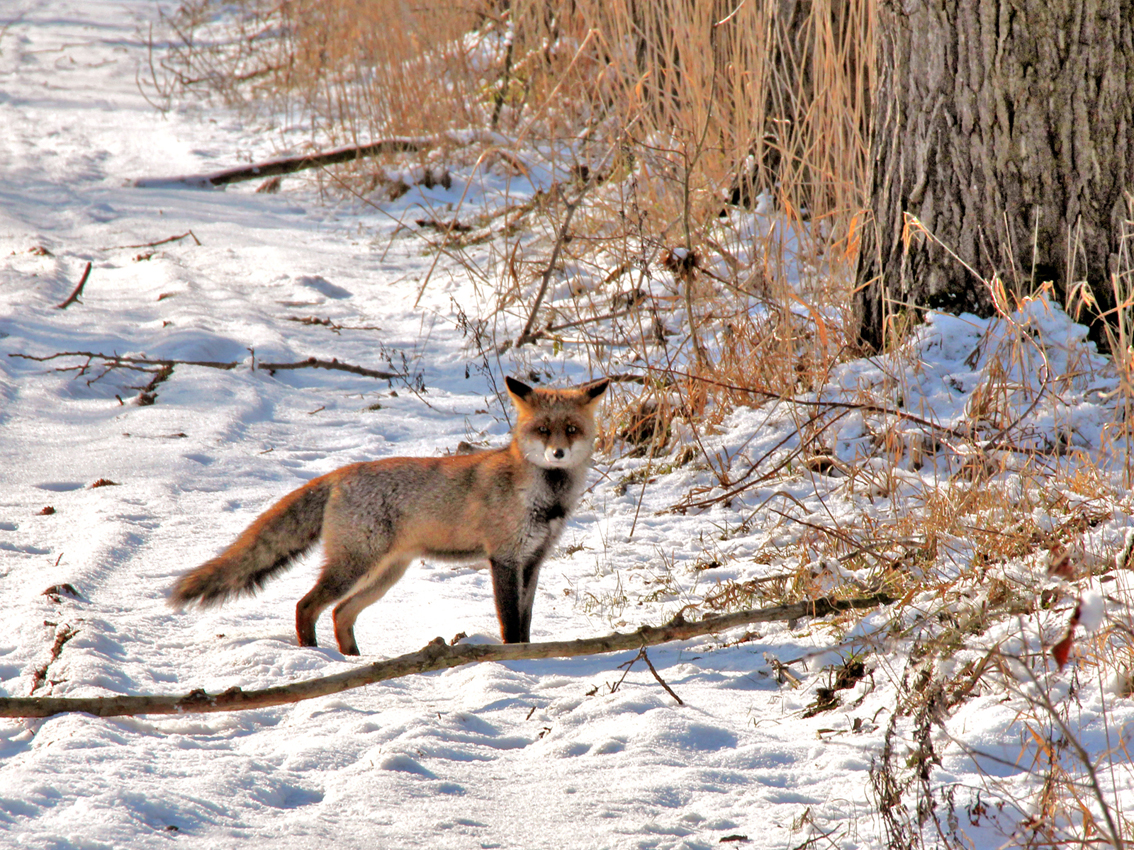 die-hoort-daar-niet-thuis