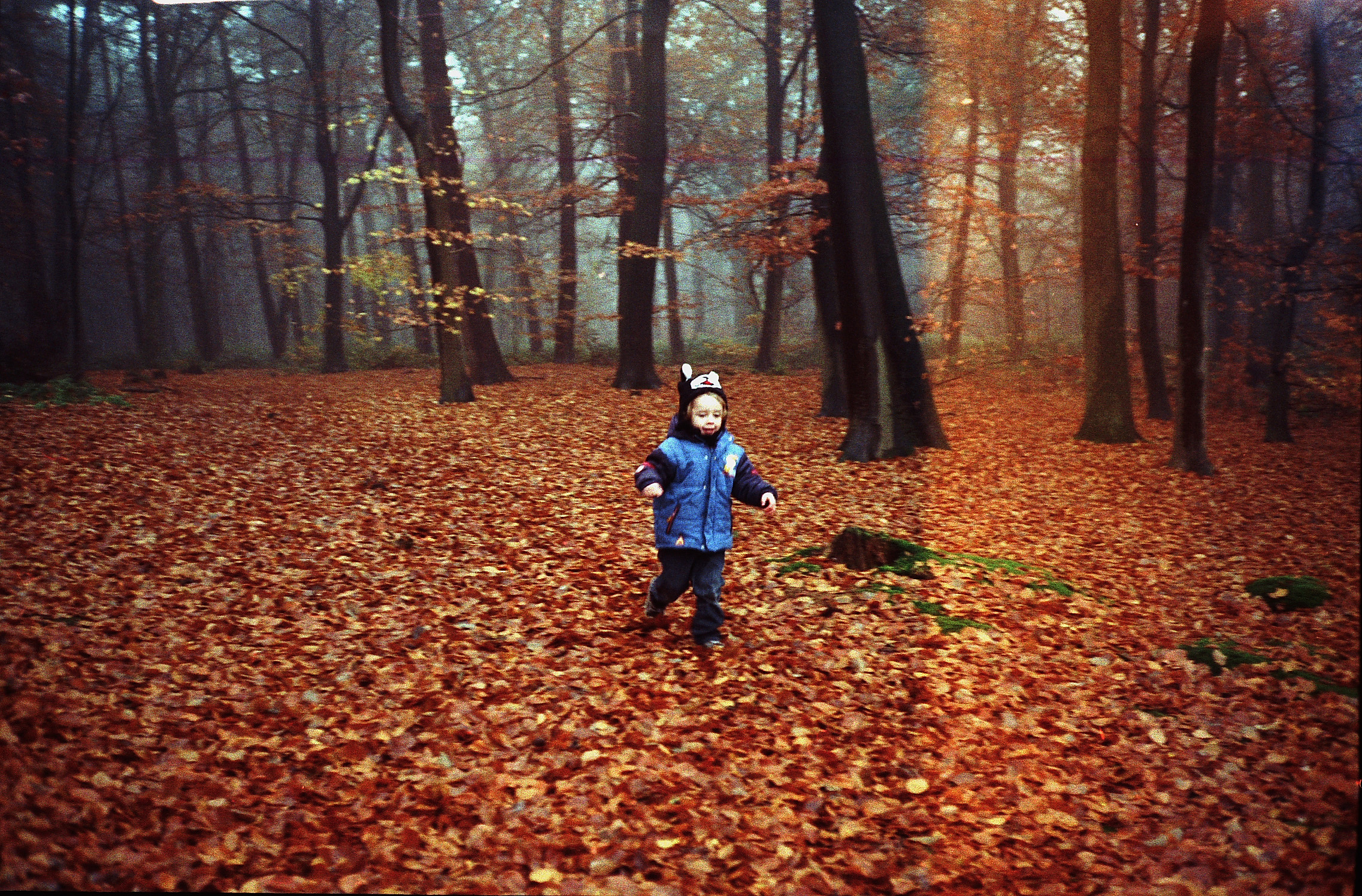 maandagochtend-lekker-rennen