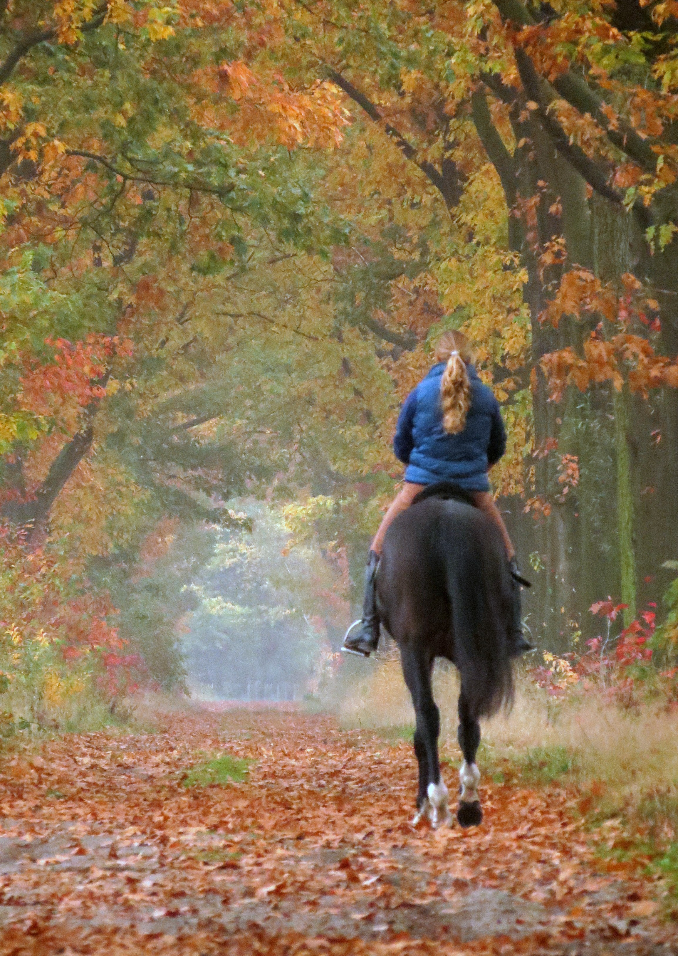 paardrijden-in-herfstkleuren