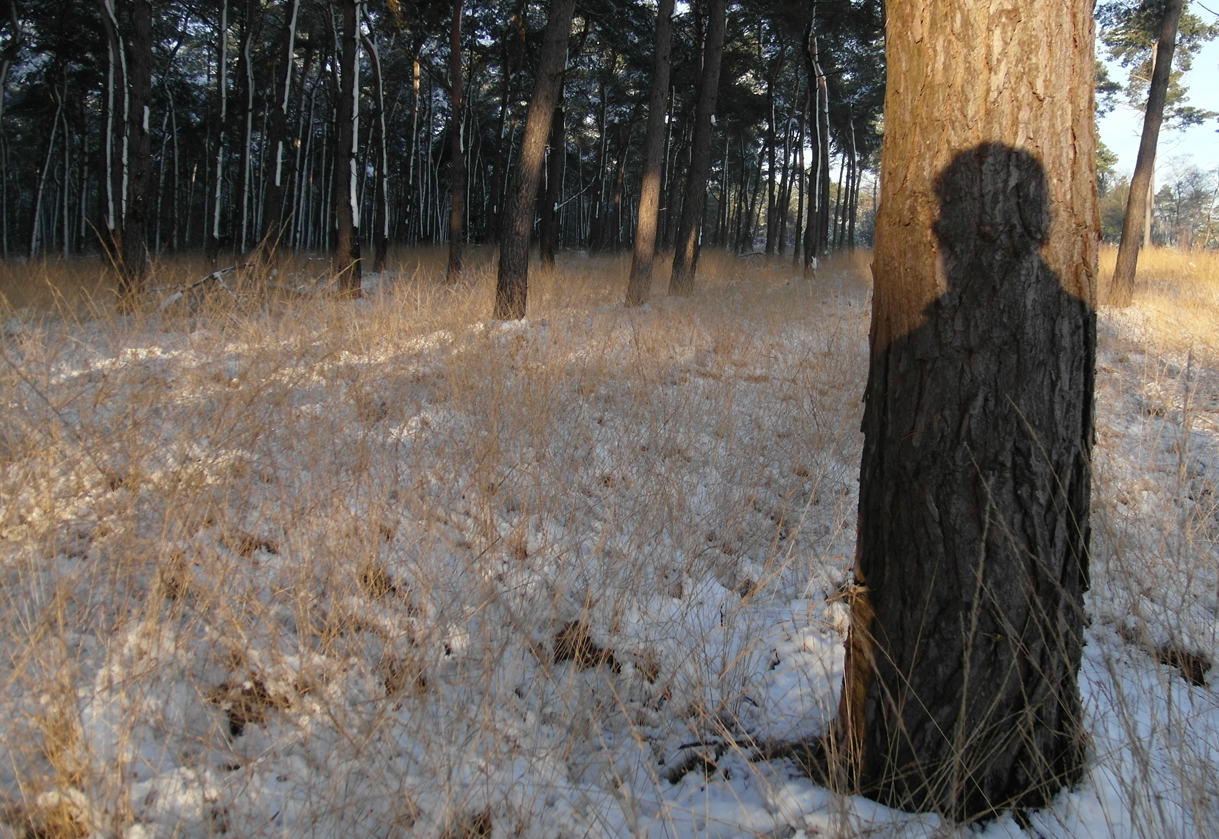 zelfportret-in-winterzon