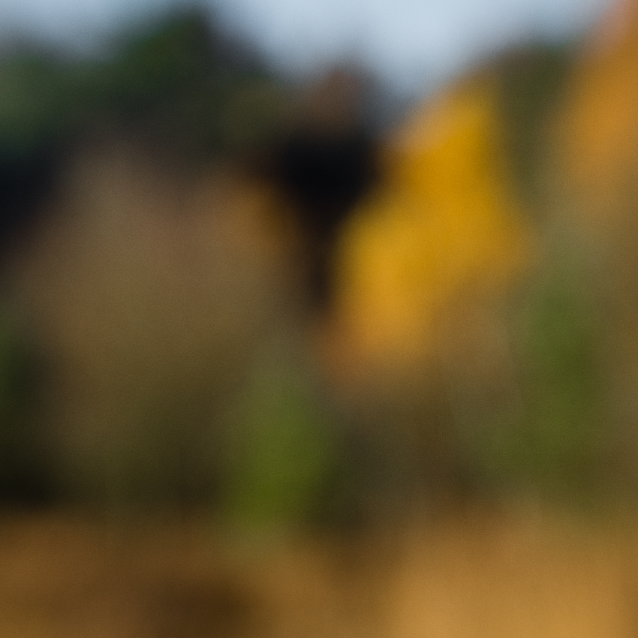 lensbaby-foto-edese-heide