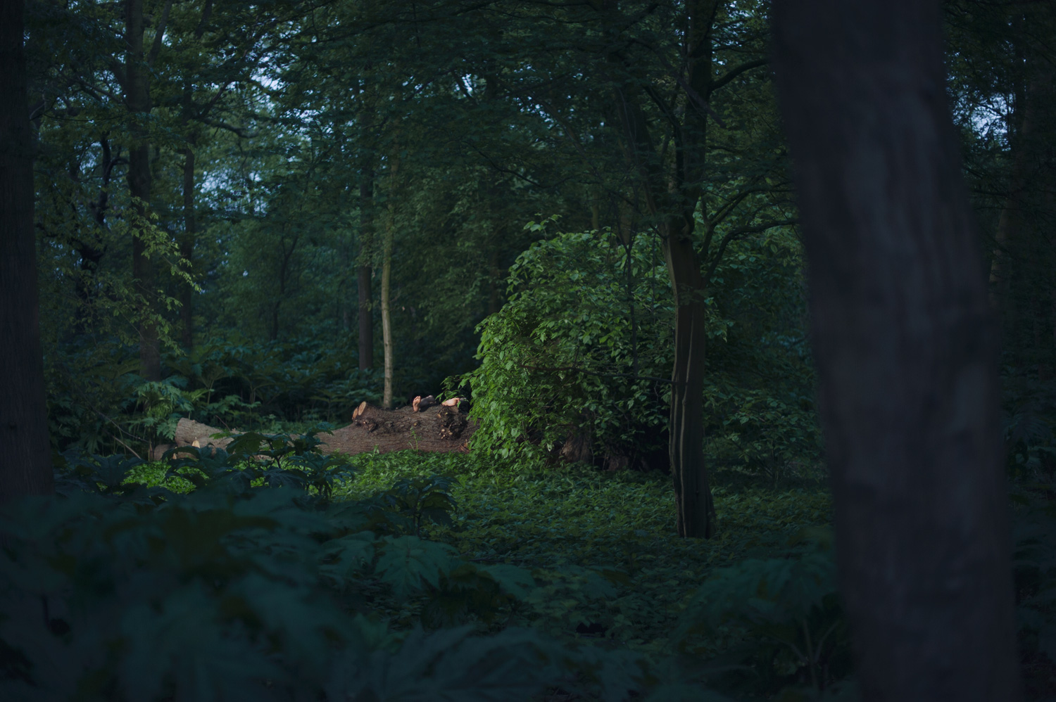 the-perfect-holiday-ii