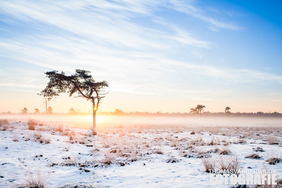 winterse-zonsopkomst-0