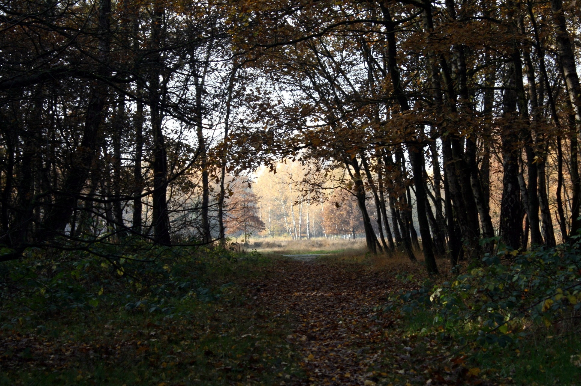 let-there-be-light-6