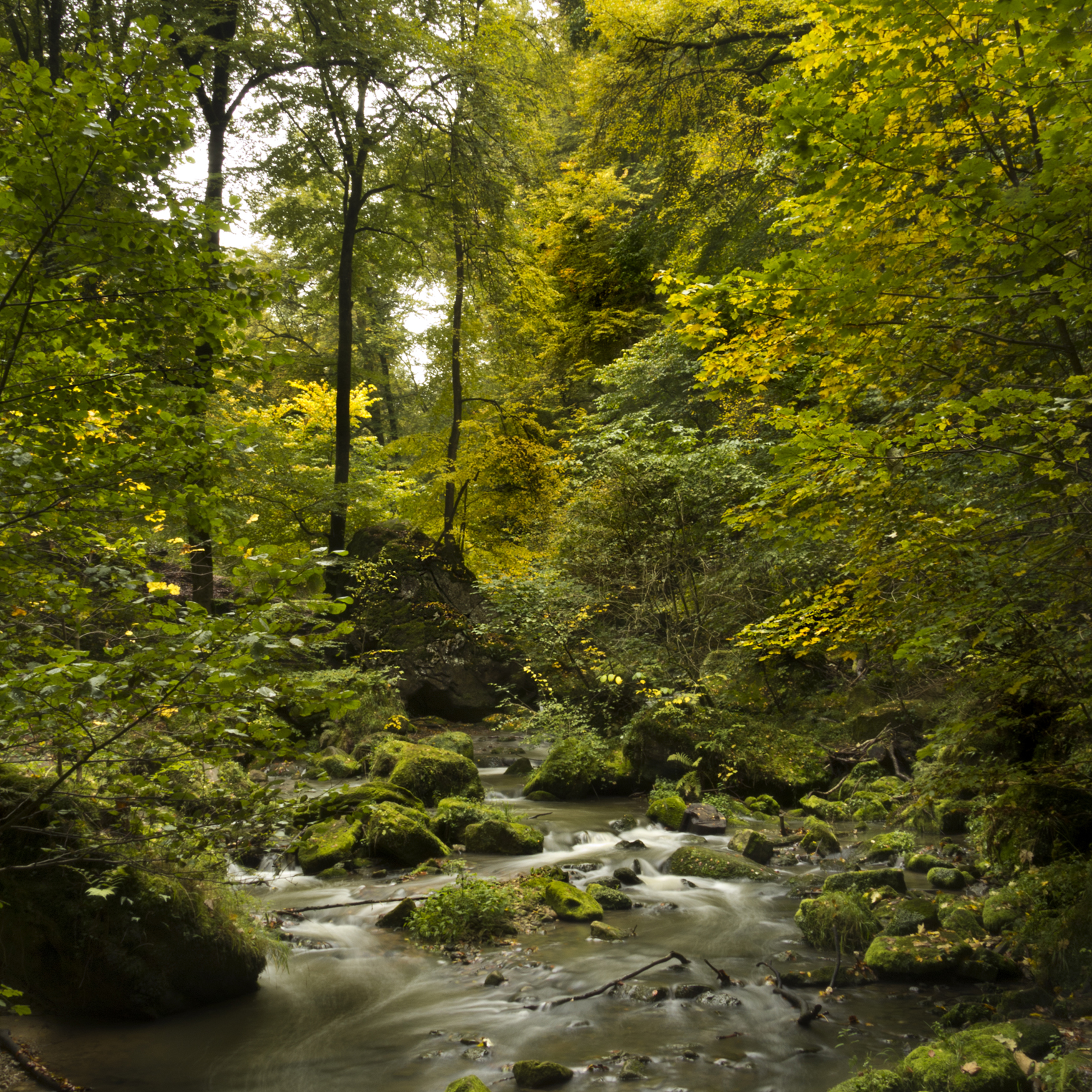 schiessenst%C3%BCmpel