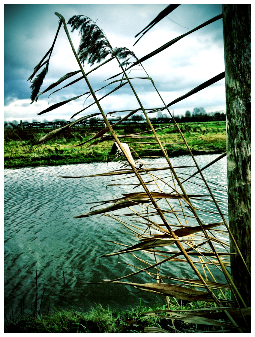 riet-2