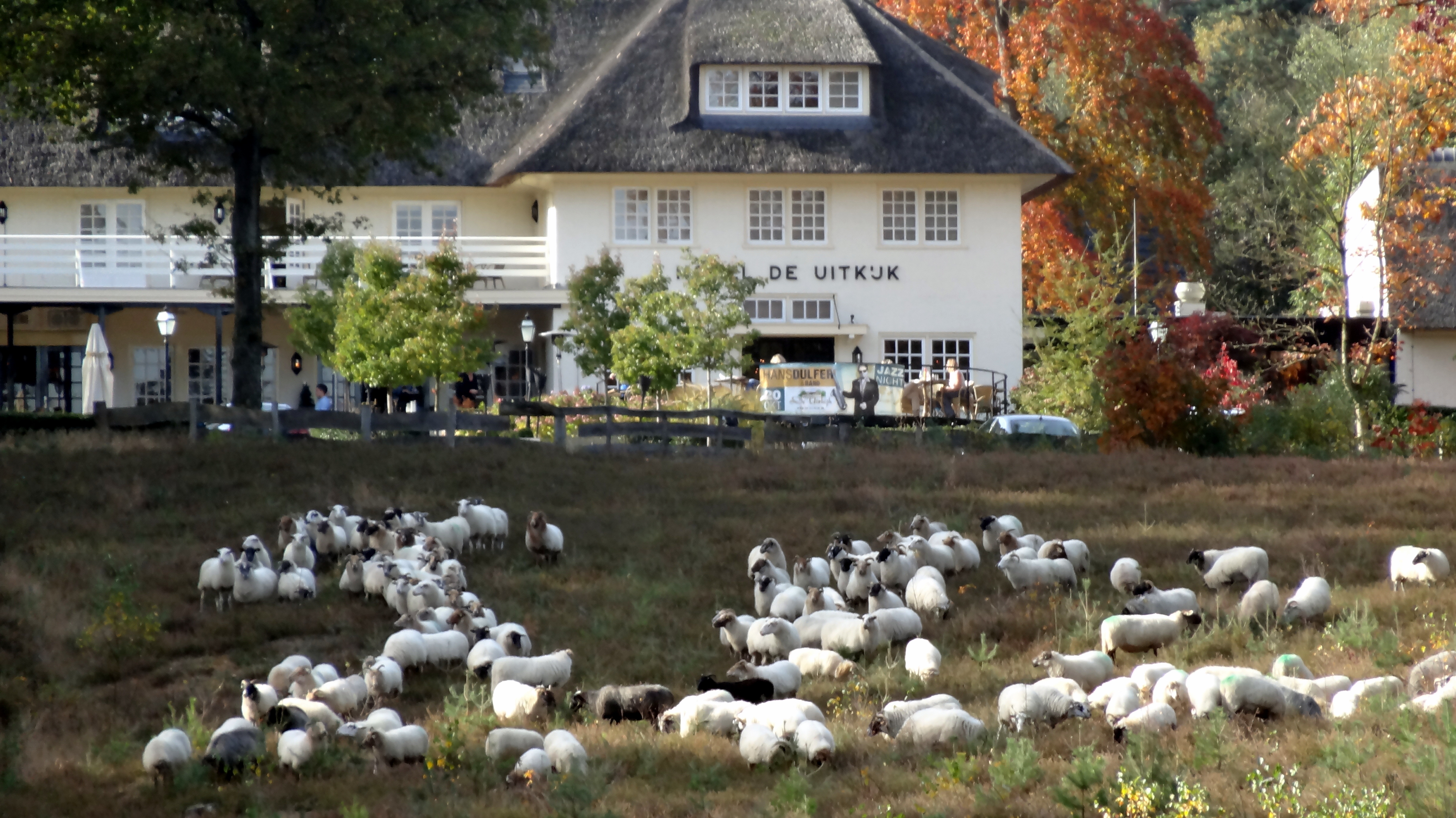 schepen-on-the-lookout