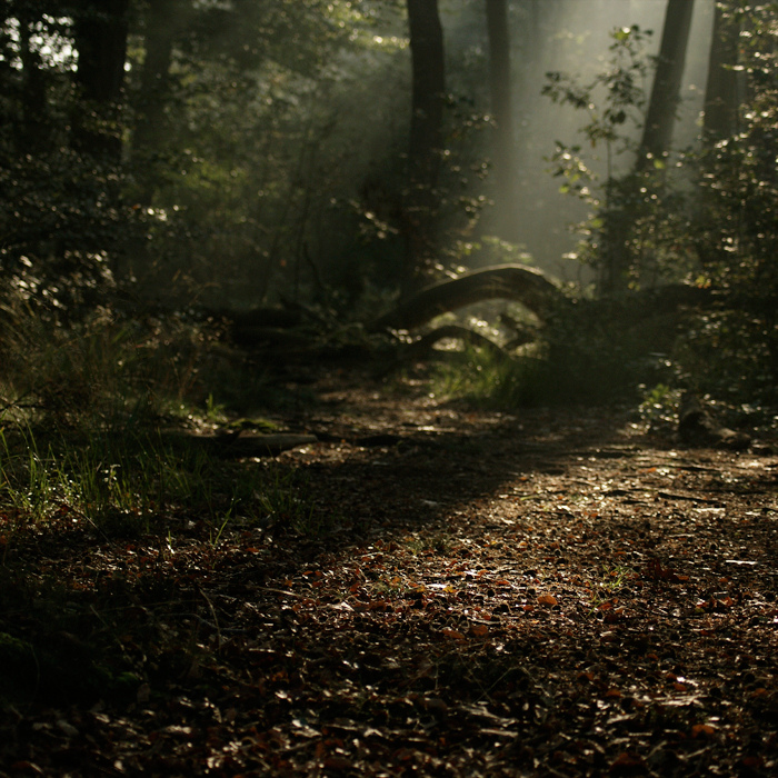 i-looked-away-for-a-sec