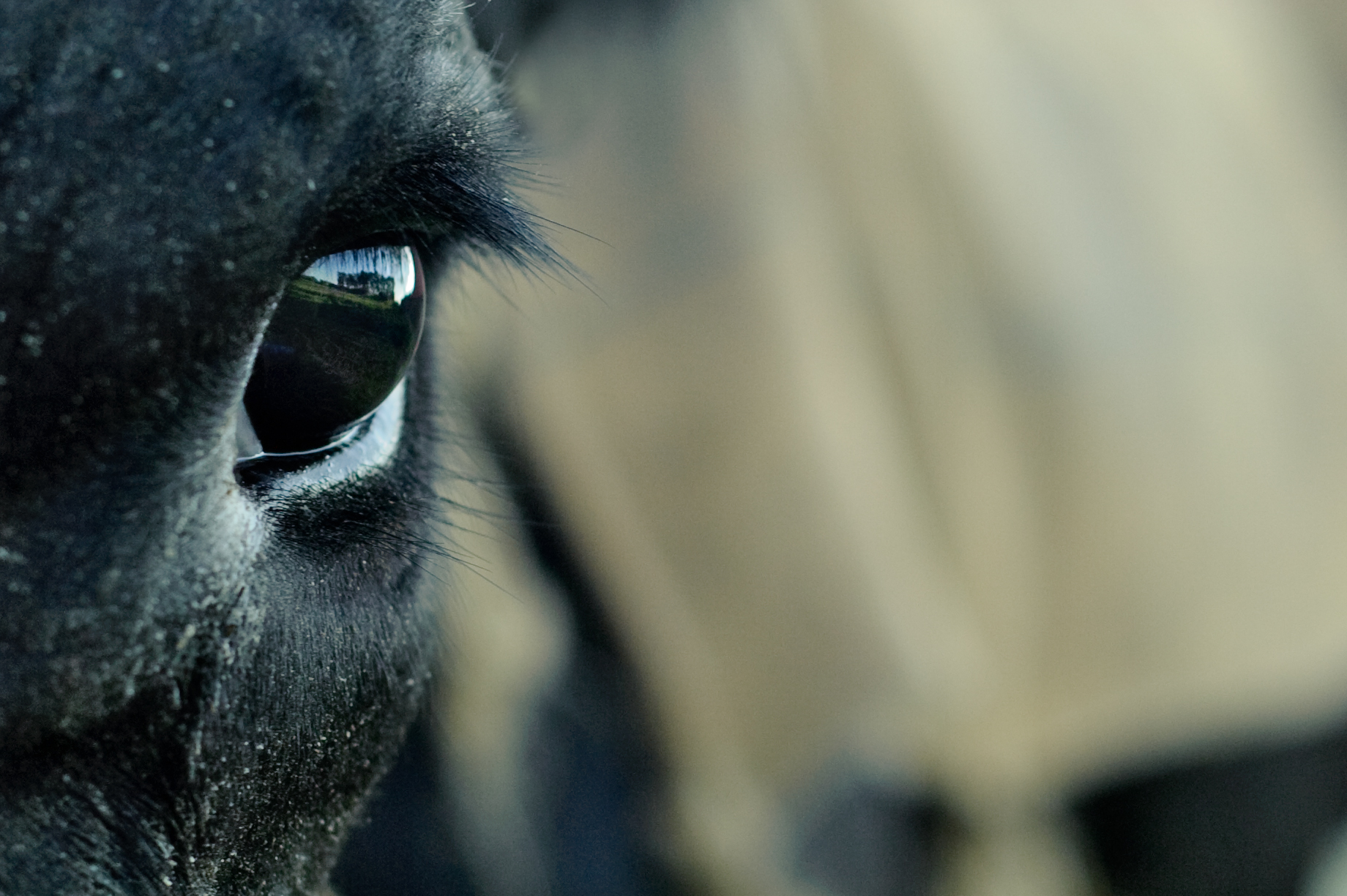 oog-op-het-landschap