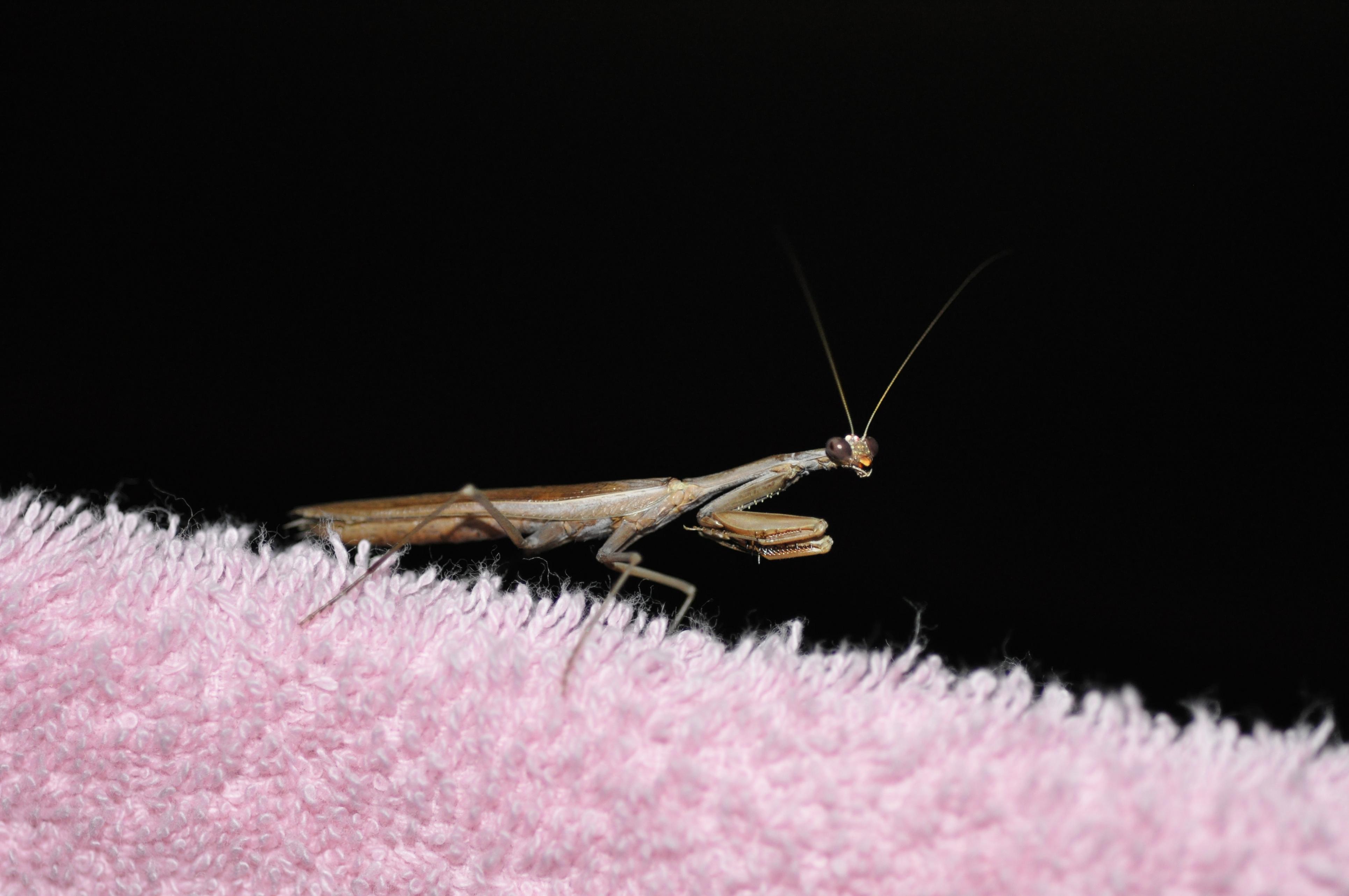 bidden-voor-een-droge-nacht