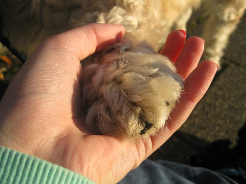 samen-staan-we-sterk-1