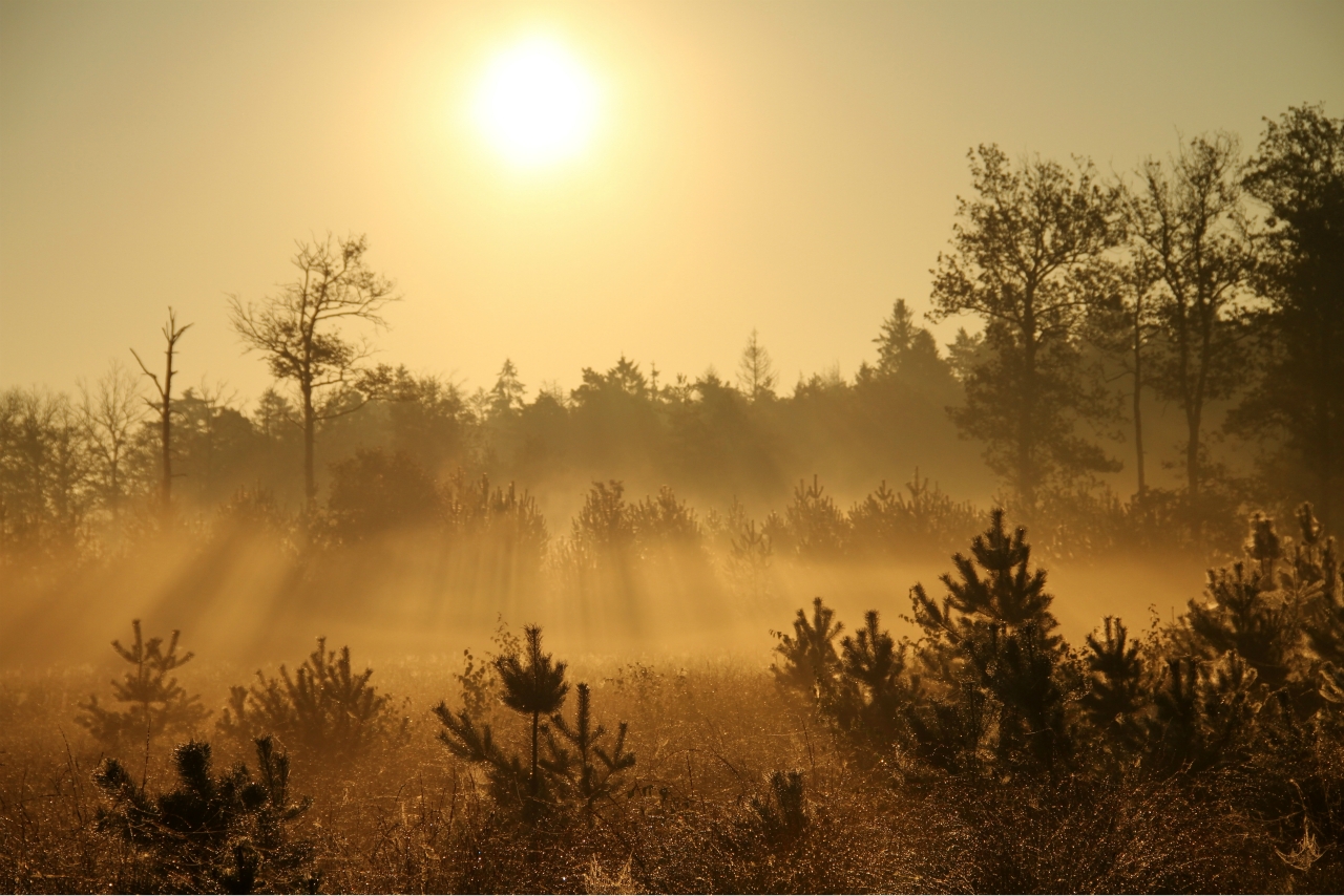 zonsopkomst-in-het-dwingelderveld