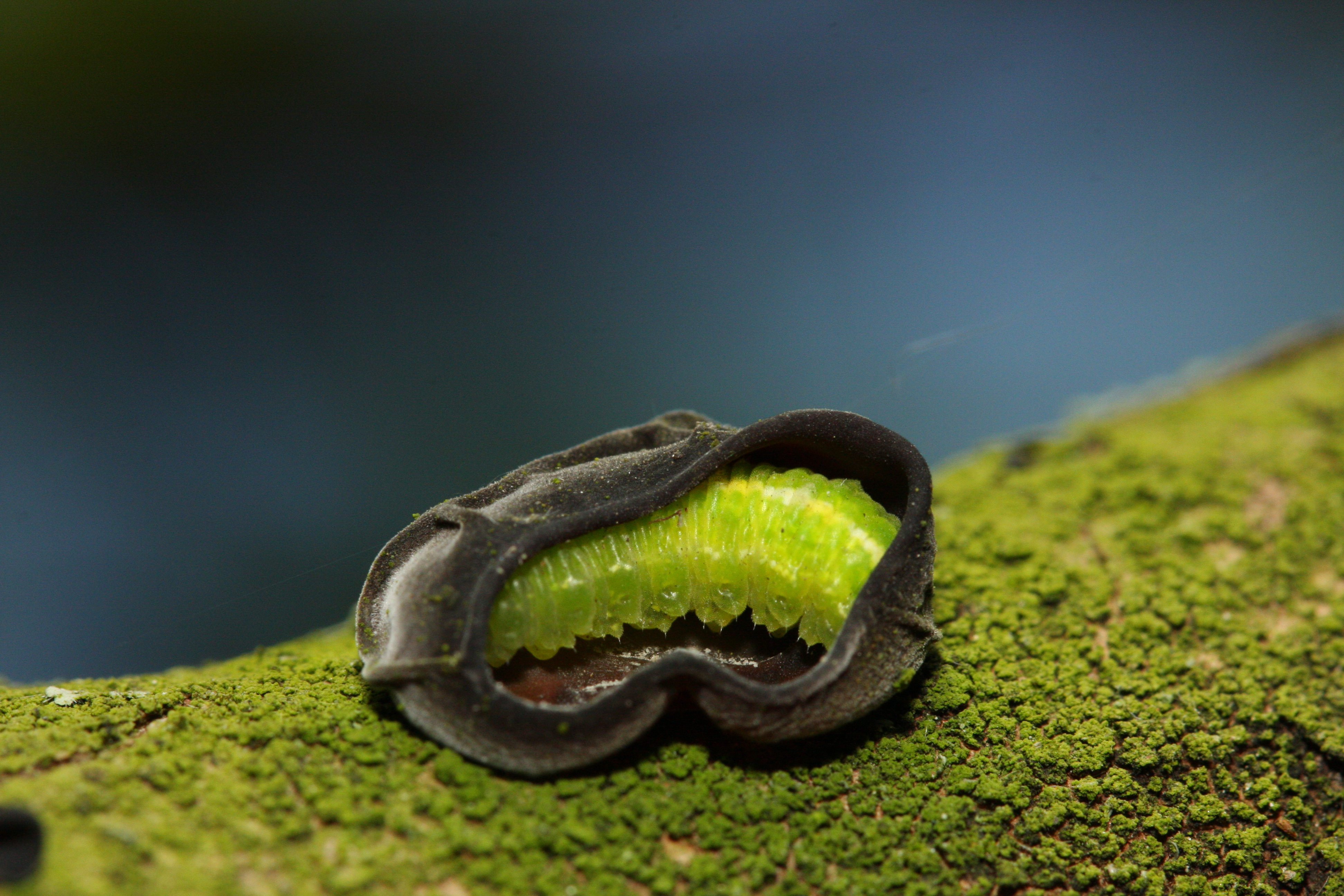 verstoppertje-spelen-3