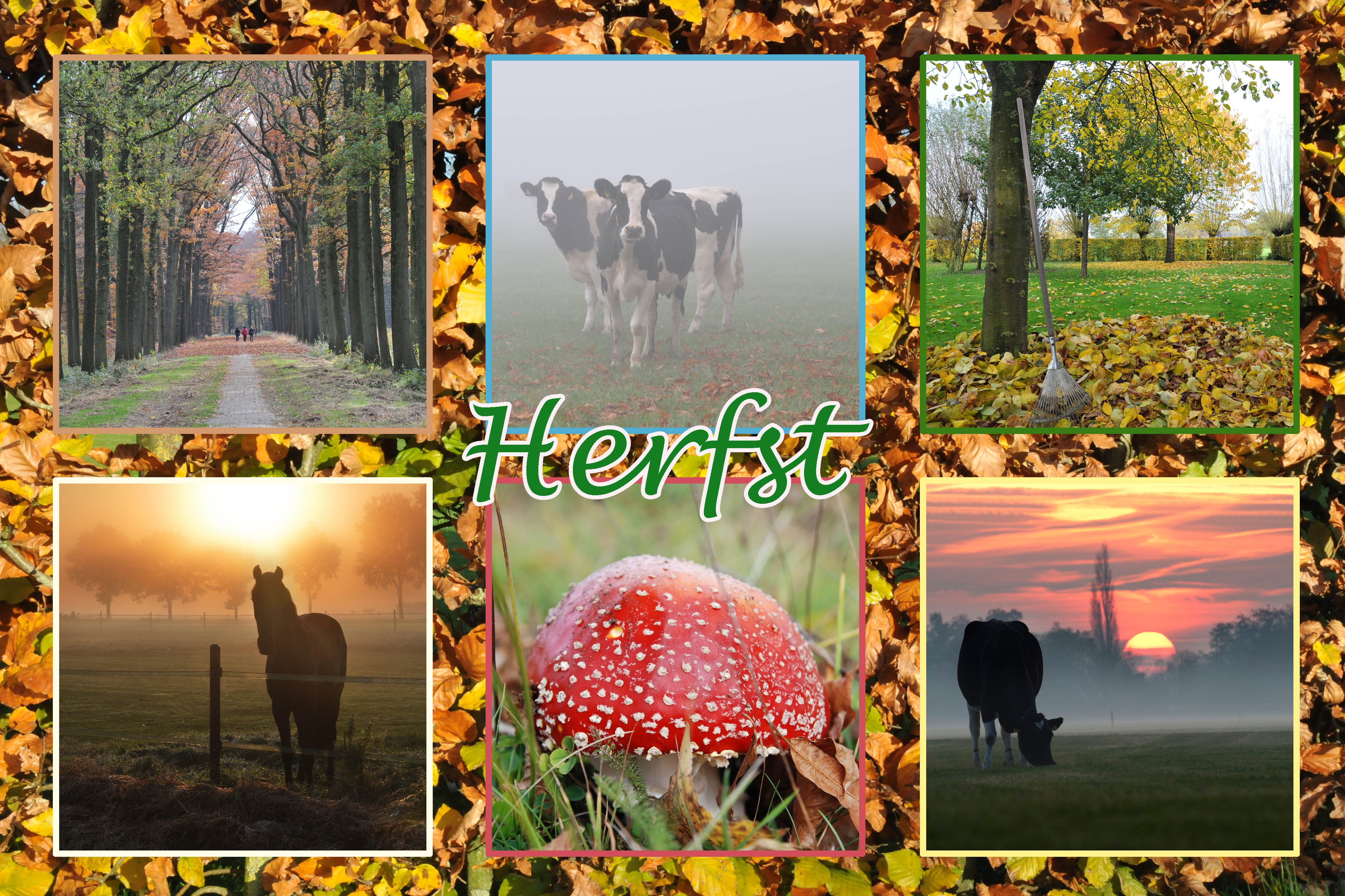 herfst-139