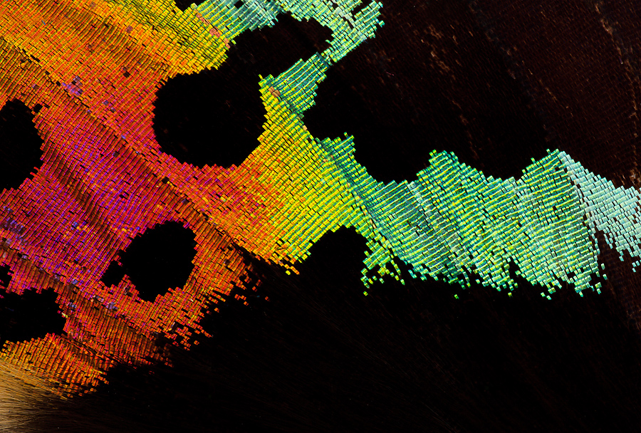 waar-kleuren-worden-geboren