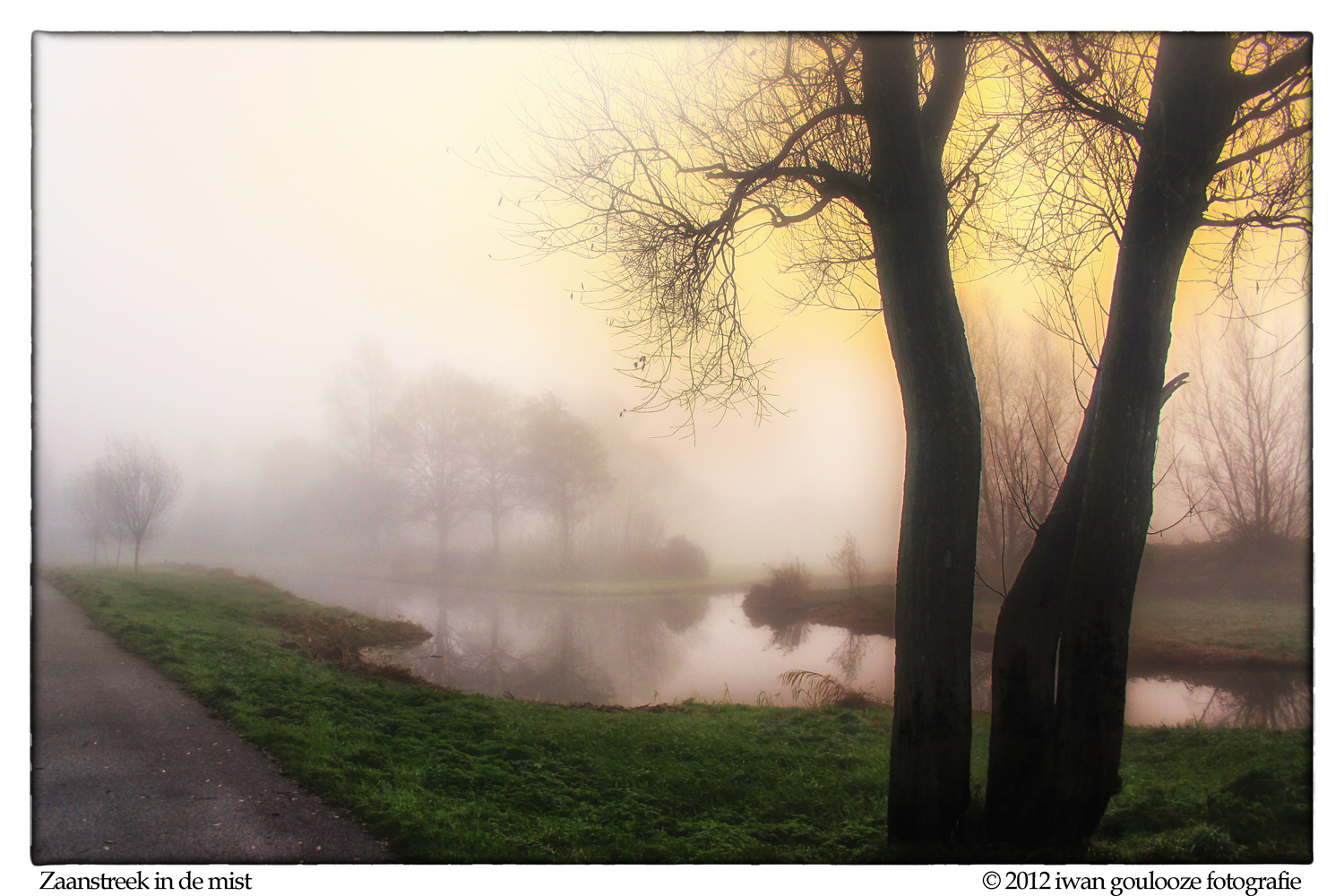 herfst-mist-sfeertje