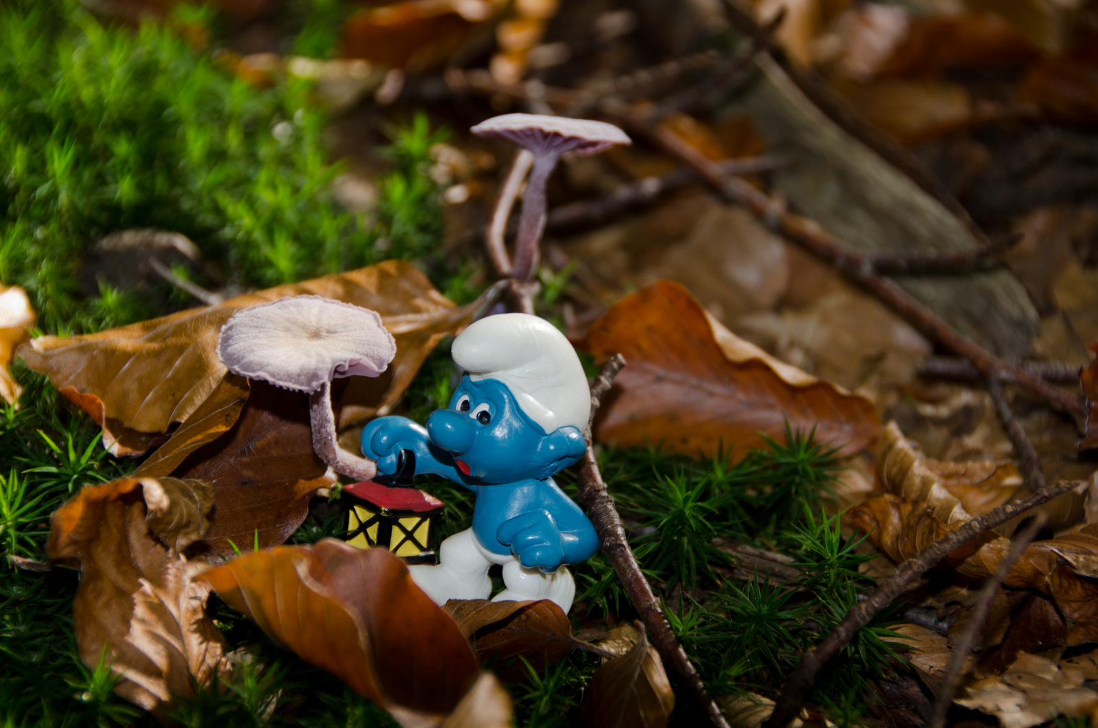 je-ziet-door-de-smurfen-het-bos-niet-meer