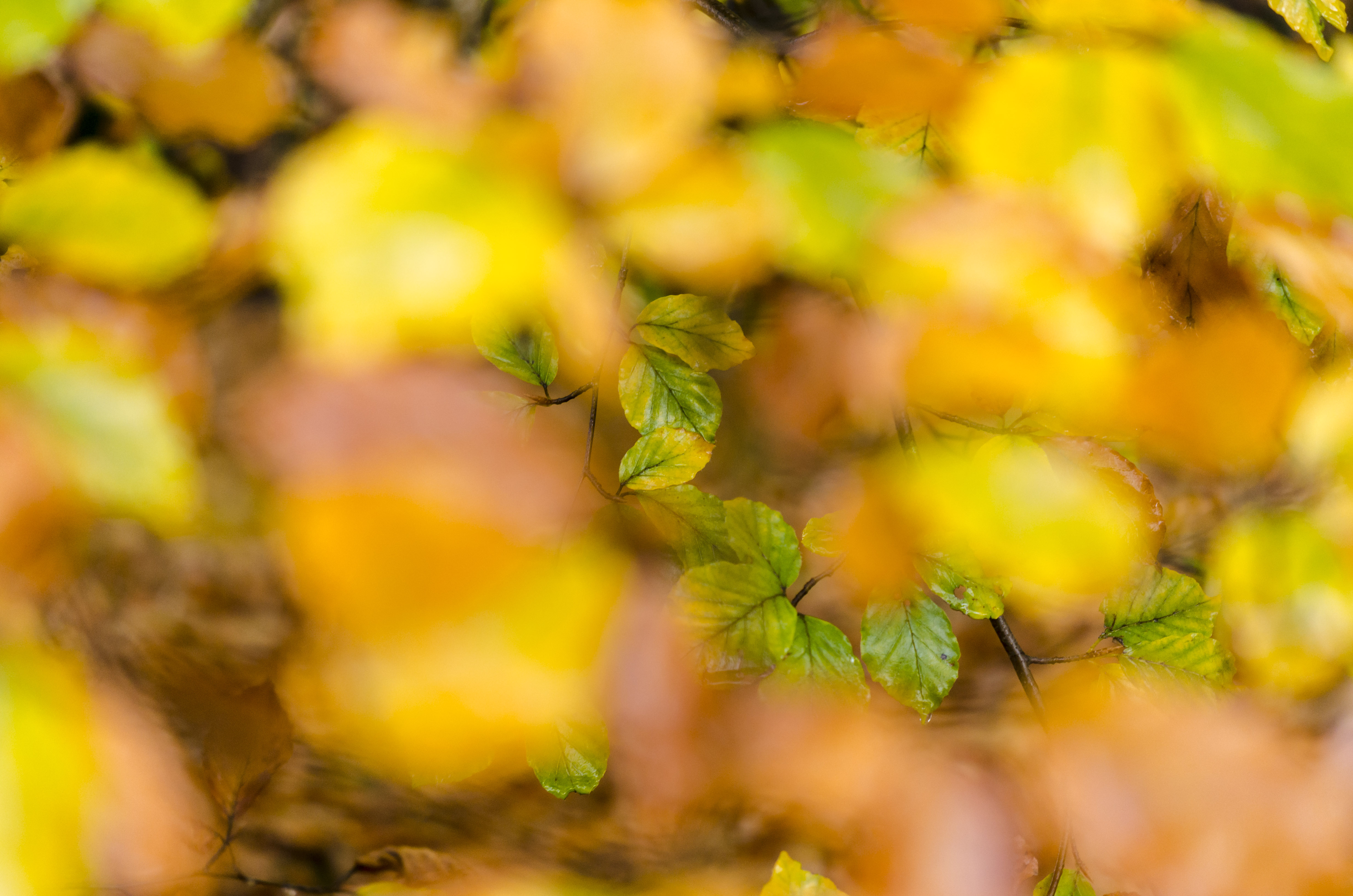 een-beetje-beter-kijken
