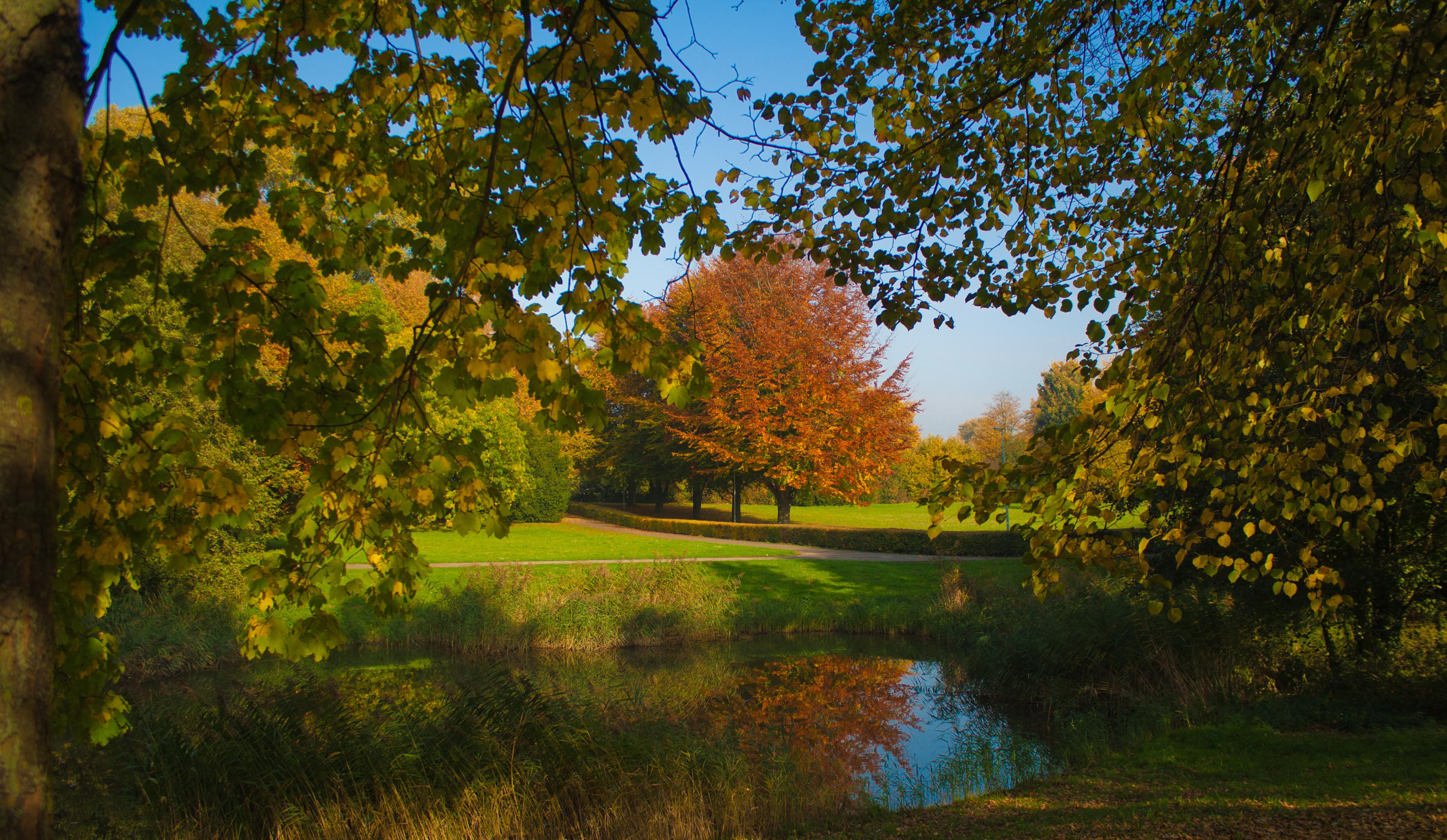herfst-in-maastricht