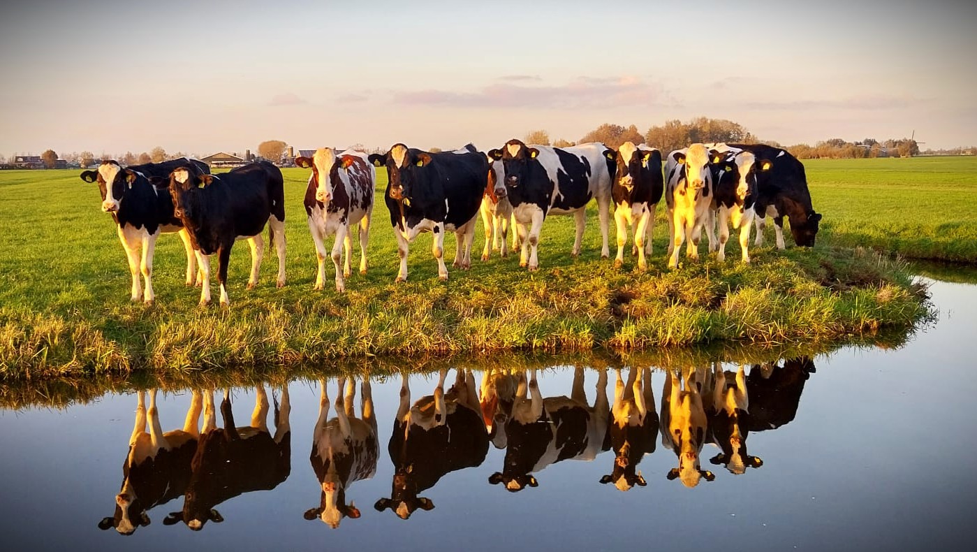 spiegeltje-spiegeltje-aan-de-wand-wie-is-het-mooiste-in-het