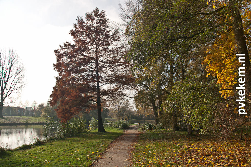 herfst-in-het-park-4