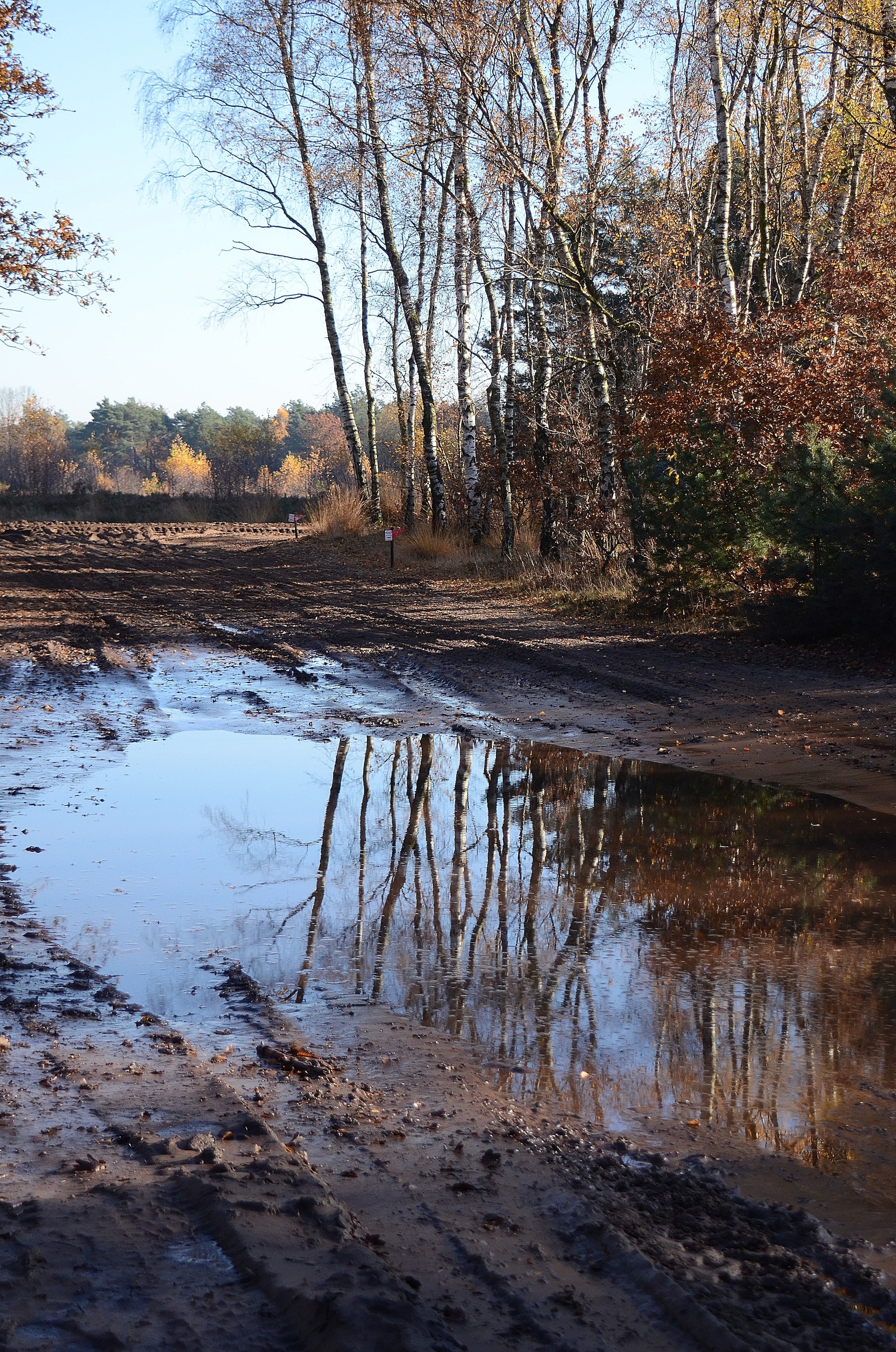 autumn-reflections-3