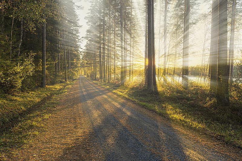 workshop-photoshop-lichtstralen-in-het-bos