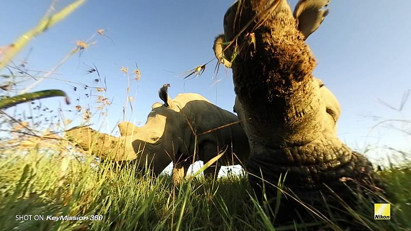 video-ami-vitale-neemt-de-nikon-keymission-360-mee-op-avontuur